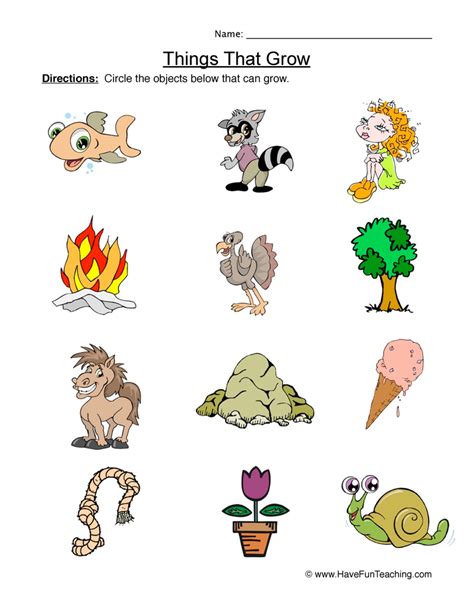 living things drawings|Drawing Things That Grow Worksheet .